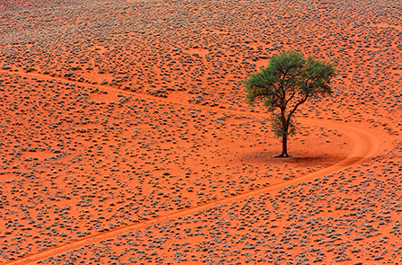 Namibia: dune di fuoco e cieli infiniti